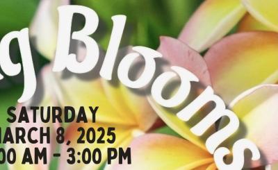 Event title and info over a zoomed in flower